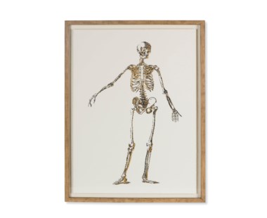 Gold Skeleton